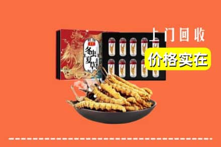 深汕区回收冬虫夏草