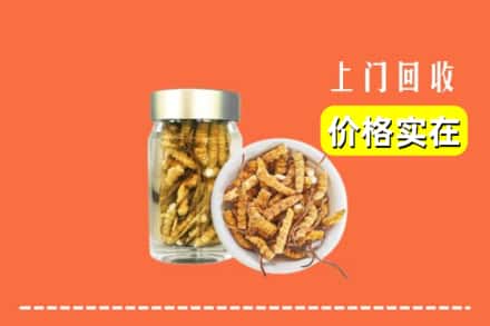诚信求购:深汕区高价回收散虫草