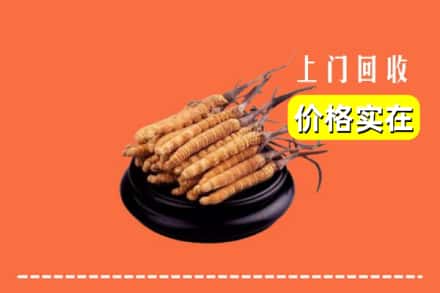 深汕区回收冬虫夏草